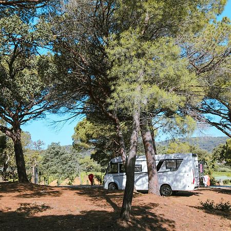 Camping Ladouceur Ramatuelle Exterior photo