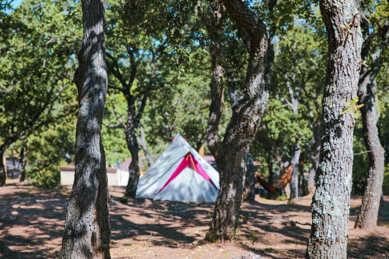 Camping Ladouceur Ramatuelle Exterior photo