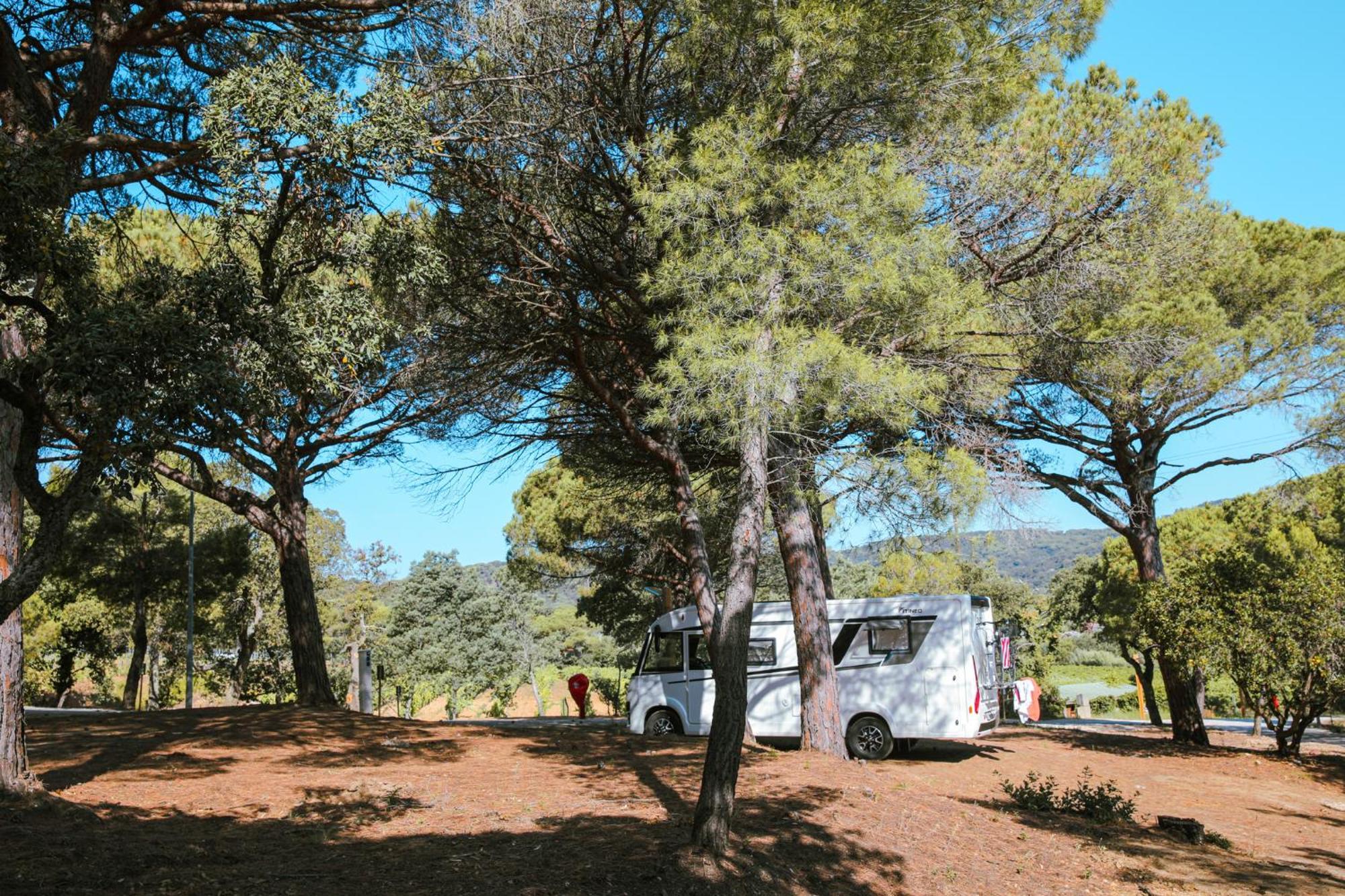 Camping Ladouceur Ramatuelle Exterior photo