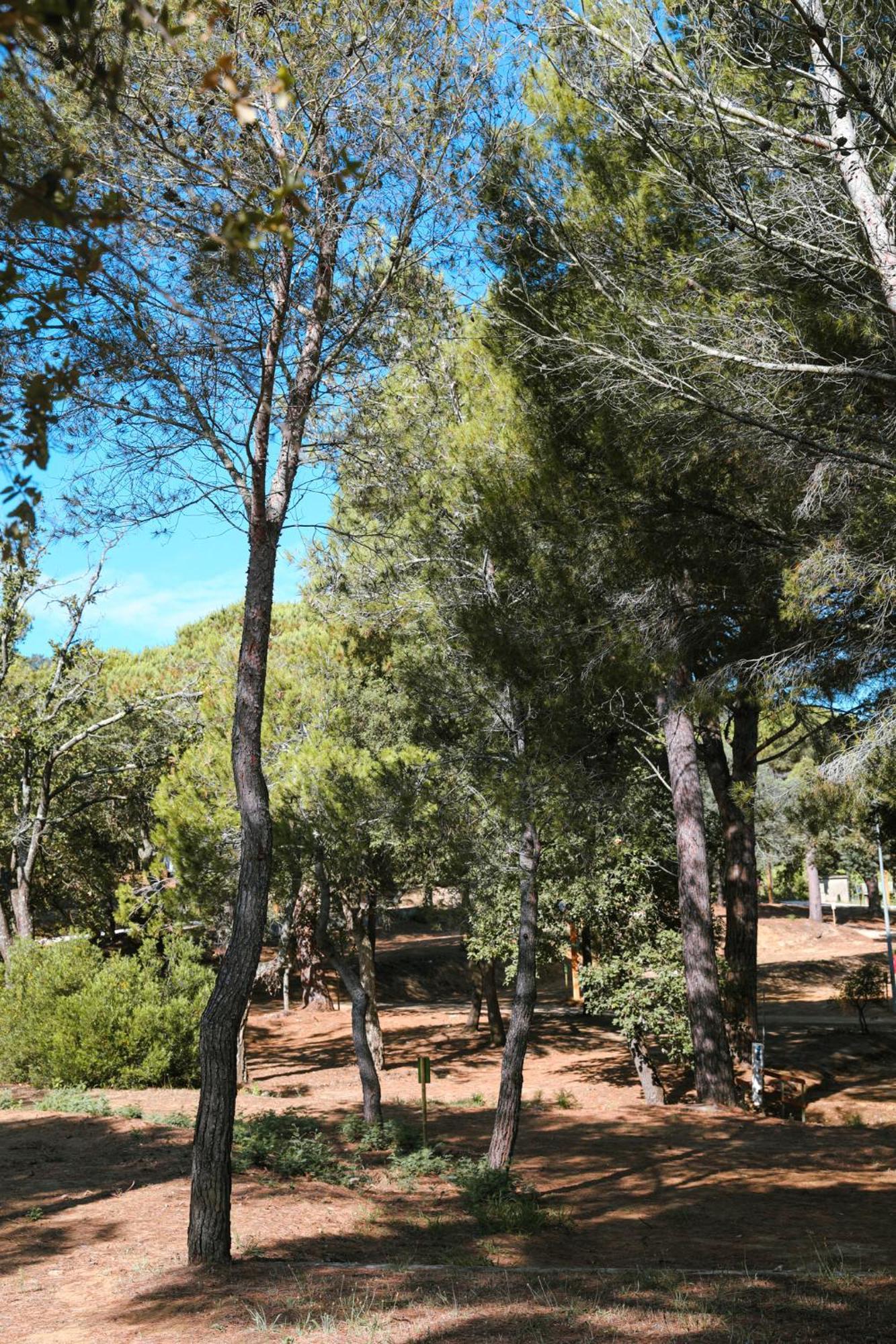 Camping Ladouceur Ramatuelle Exterior photo