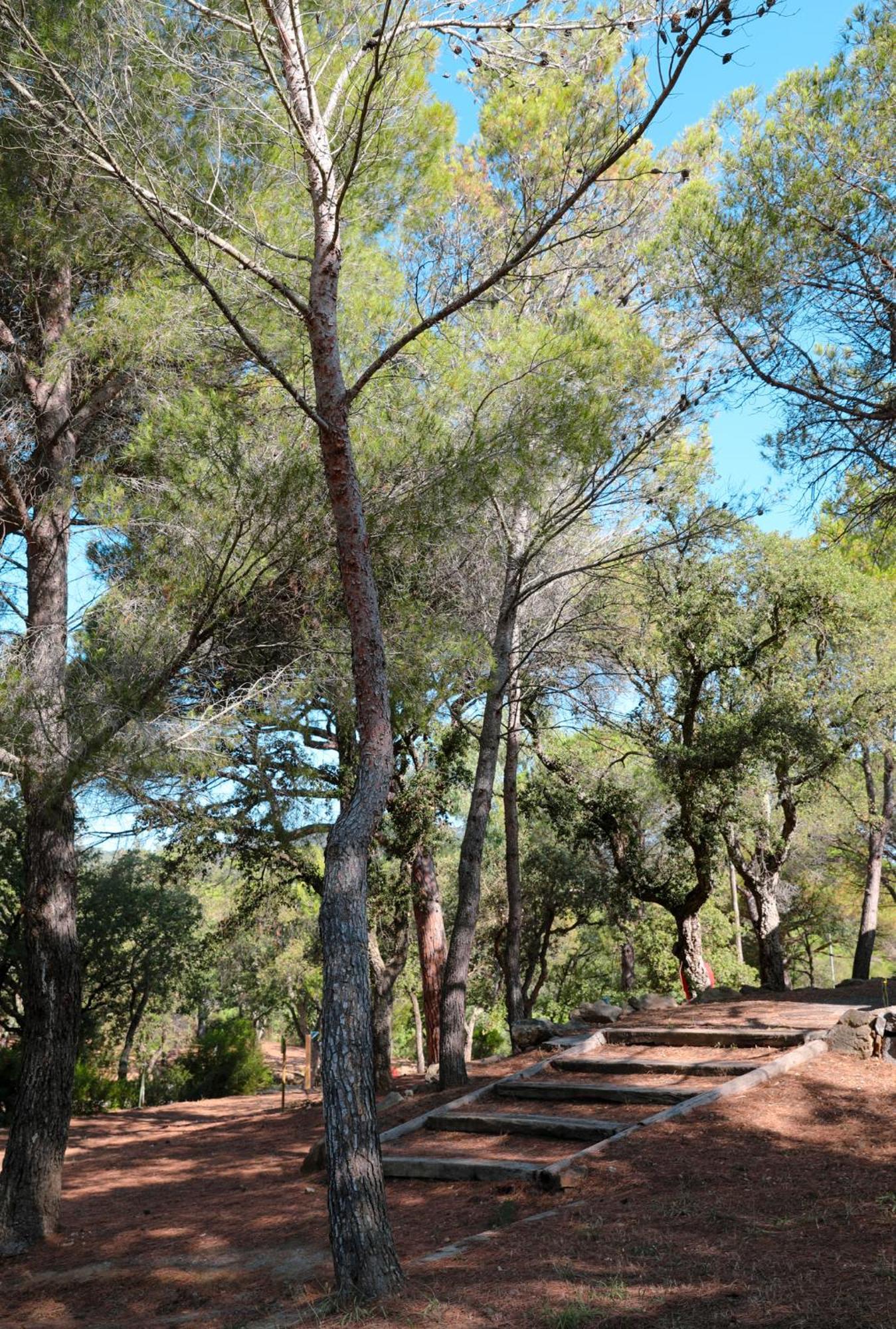 Camping Ladouceur Ramatuelle Exterior photo